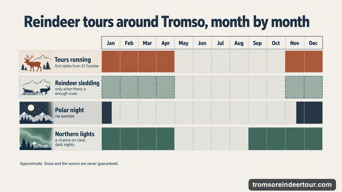 Month-by-month chart for reindeer tours around Tromso: tours from November to April, sledding only with enough snow, polar night from late November to mid-January, a chance of northern lights from September to April